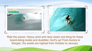 Siargao
Ride the waves. Heavy wind and rains mean one thing for these
board-toting dudes and dudettes: Surf’s up! From Aurora to
Siargao, the swells are highest from October to January.

 