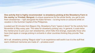 One activity that is highly recommended is strawberry picking at the Strawberry Farm in
the nearby La Trinidad, Benguet. A unique experience for the whole family, you get to pick
fresh strawberries -- right alongside the Ibaloi farmers -- to bring home or consume while on
vacation in the Summer Capital of the Philippines.
Located just 30 minutes from Baguio City, Strawberry Farm "opens it doors" for the activity from
November to May every year. The rates for strawberry picking vary. In general, it costs twice
the market price to pick your own strawberries, which folks find strange, especially those who
have tried apple or orange picking in orchards in other countries thinking they provide "free
labor.“
All in all, strawberry picking "Baguio style" is an experience well worth it as it is the stuff that
warm childhood memories are made of -- priceless even!

 