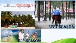 WET SEASON
DRY SEASON

 
