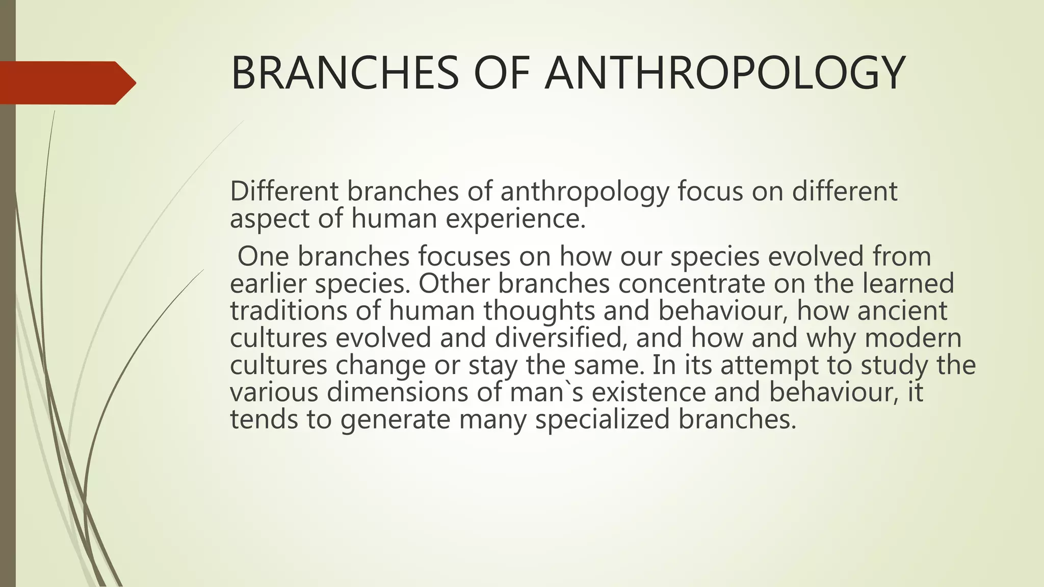 Anthropology | PPTX