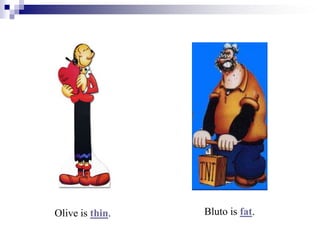 Olive is thin. Bluto is fat.
 