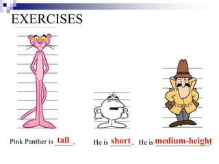 EXERCISES
Pink Panther is _____. He is ______. He is _______________.tall short medium-height
 