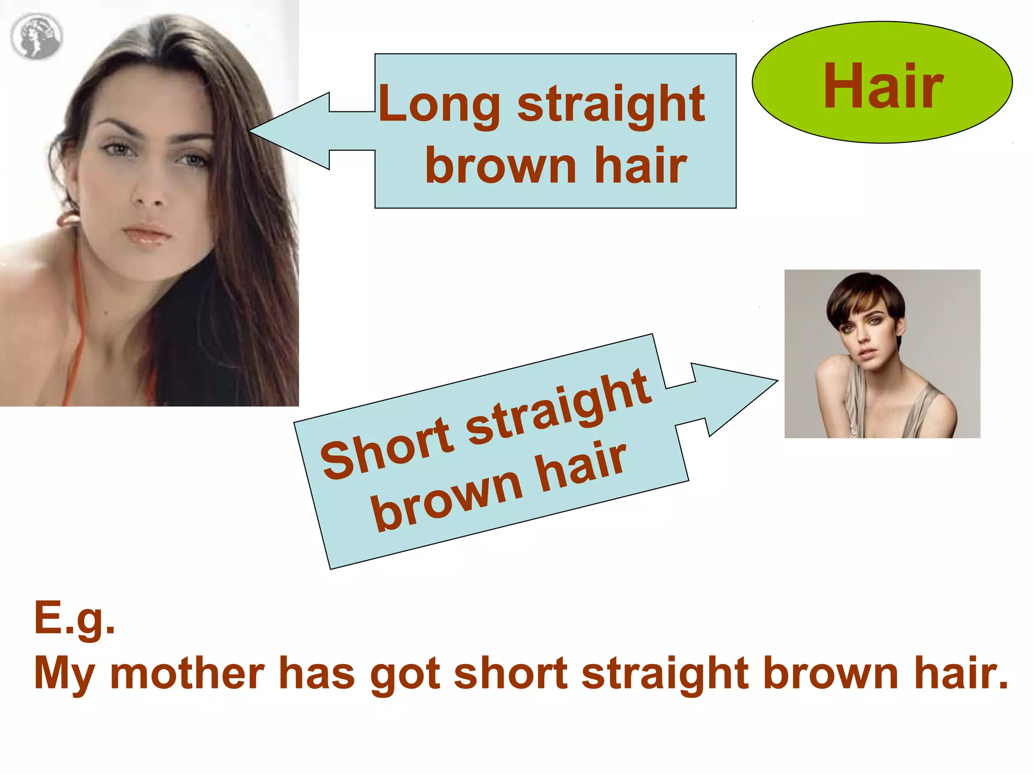 Hair
Long straight
brown hair
Short straight
brown hair
E.g.
My mother has got short straight brown hair.