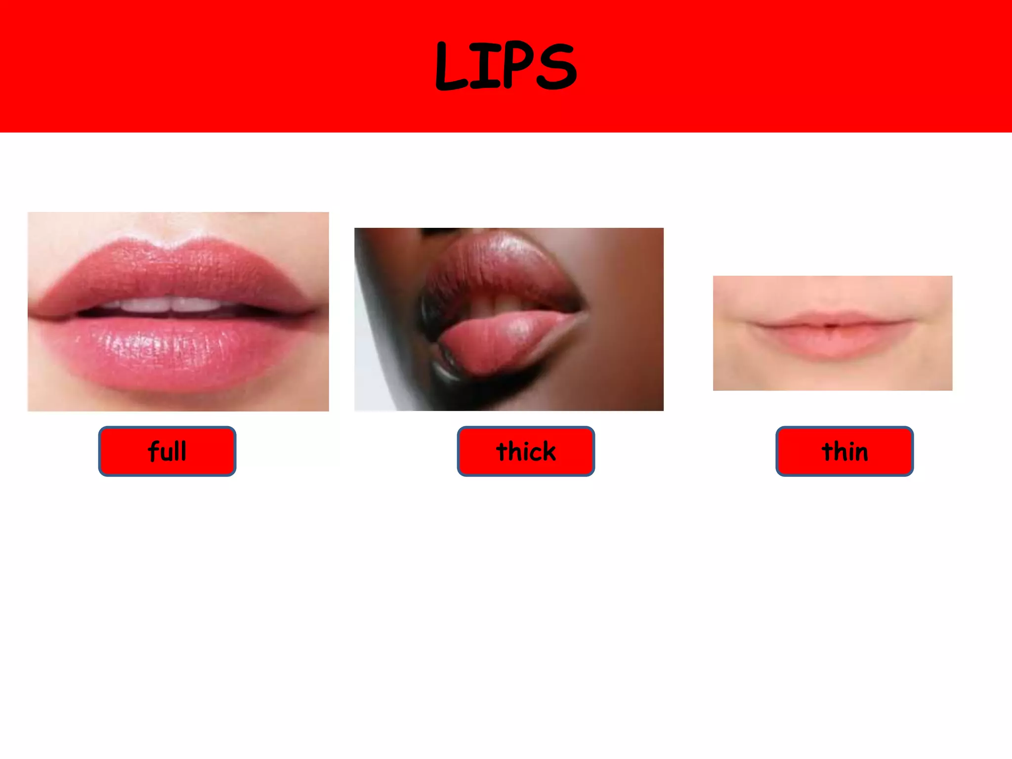 LIPS
full thinthick
 