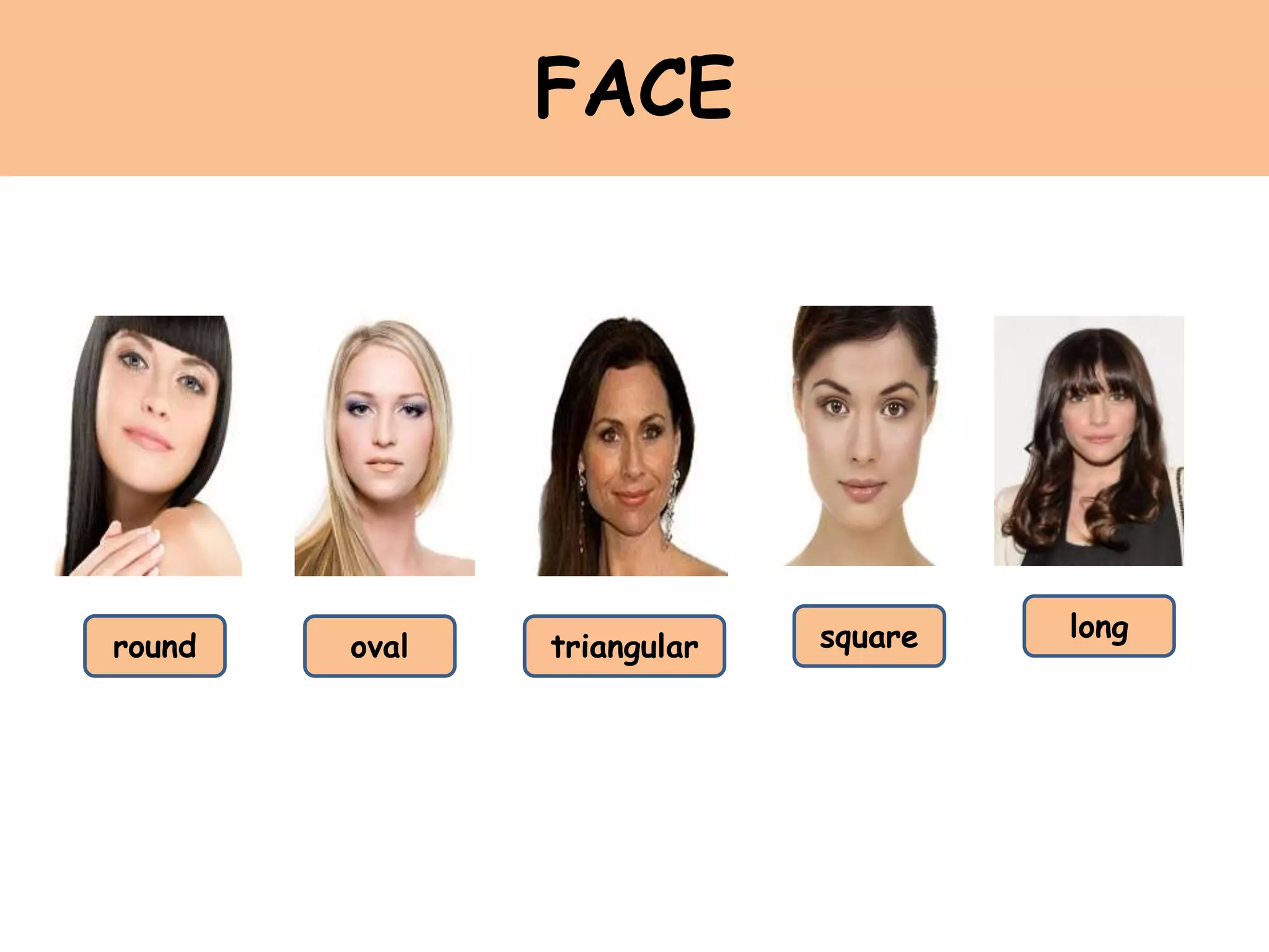 FACE
round oval triangular square long
 