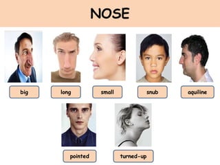 NOSE
big small
long snub aquiline
turned-up
pointed
 