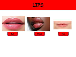 LIPS
full thin
thick
 