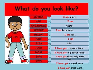 What do you look like?
GENDER
AGE
APPEARANCE
HEIGHT
WEIGHT
FACE
EYES
HAIR
NOSE
EARS
LIPS
I am a boy.
I am
young.
I am handsome.
I am tall.
I am
slim.
I have got a square face.
I have got big brown eyes.
I have got short curly black
hair.
I have got a small nose.
I have got small ears.
Tom
 