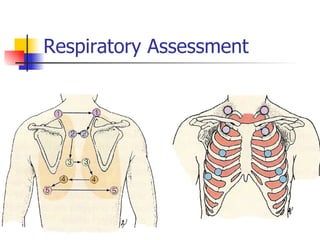 Respiratory Assessment 