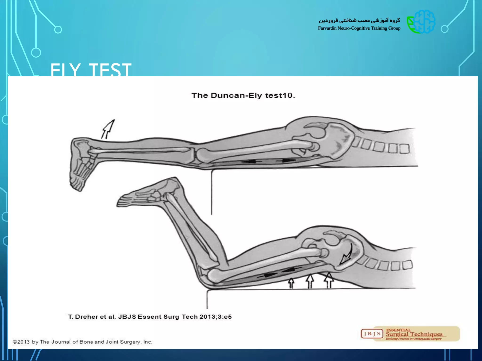 Physical Assessment in Pediatric Rehabilitation | PDF