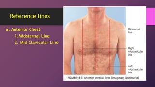 Physical Assessment 13 - Thorax Lungs Heart Sounds.ppt