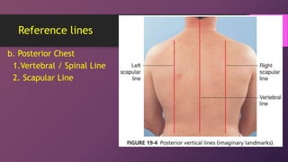 Line Between Chest Physical Assessment 13 - Thorax Lungs Heart Sounds.ppt