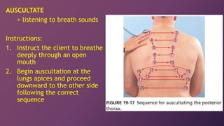 Physical Assessment 13 - Thorax Lungs Heart Sounds.ppt