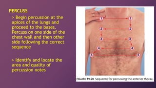Physical Assessment 13 - Thorax Lungs Heart Sounds.ppt