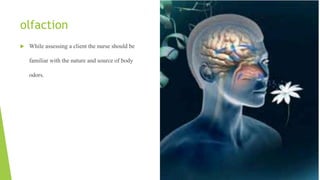 olfaction
 While assessing a client the nurse should be
familiar with the nature and source of body
odors.
 