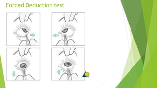 PHYSICAL ASSESSMENT OF A TRAUMA PATIENT PRESSENTING WITH acute injury ...
