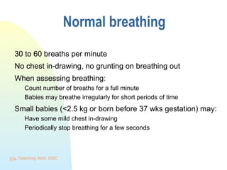 Physical assessment of the neonate | PPT