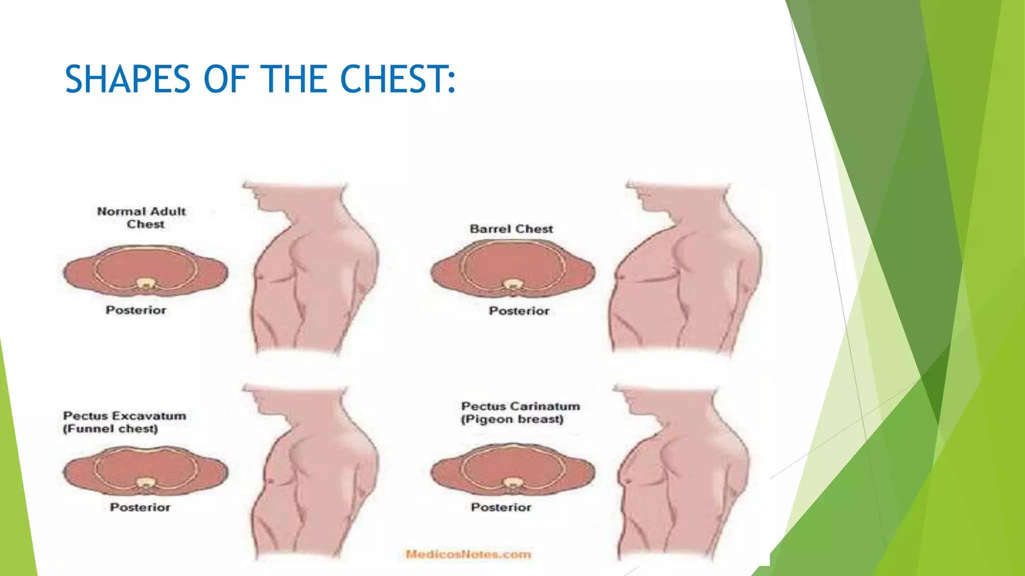 PHYSICAL ASSESSMENT OF THORAX AND LUNGS..pptx