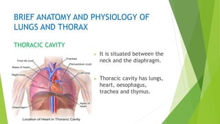 PHYSICAL ASSESSMENT OF THORAX AND LUNGS..pptx