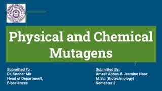 Physical and Chemical
Mutagens
Submitted To ;
Dr. Snober Mir
Head of Department,
Biosciences
Submitted By;
Ameer Abbas & Jasmine Naaz
M.Sc. (Biotechnology)
Semester 2
 