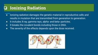 Physical & Chemical Mutagen (BS415).pdf | Chemistry | Science