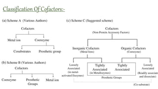 Physical & chemical properties of enzymes (vitamins) | PPTX