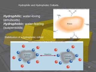 17
Hydrophilic and Hydrophobic Colloids
Hydrophilic: water-loving
(emulsoids)
Hydrophobic: water-fearing
(suspensoids)
Stabilization of a hydrophobic colloid
 