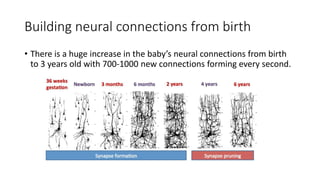 Building neural connections from birth
• There is a huge increase in the baby’s neural connections from birth
to 3 years old with 700-1000 new connections forming every second.
 
