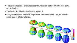 • These connections allow fast communication between different parts
of the brain.
• The brain doubles in size by the age of 3.
• Early connections are very important and develop by use, so babies
need plenty of stimulation.
 