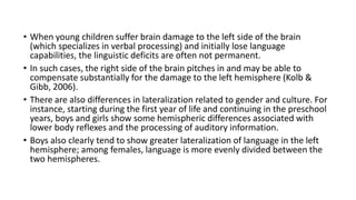 • When young children suffer brain damage to the left side of the brain
(which specializes in verbal processing) and initially lose language
capabilities, the linguistic deficits are often not permanent.
• In such cases, the right side of the brain pitches in and may be able to
compensate substantially for the damage to the left hemisphere (Kolb &
Gibb, 2006).
• There are also differences in lateralization related to gender and culture. For
instance, starting during the first year of life and continuing in the preschool
years, boys and girls show some hemispheric differences associated with
lower body reflexes and the processing of auditory information.
• Boys also clearly tend to show greater lateralization of language in the left
hemisphere; among females, language is more evenly divided between the
two hemispheres.
 