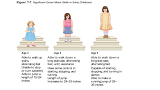 Figure 7-7 Significant Gross Motor Skills in Early Childhood
Age 3
Able to walk up
stairs,
alternating feet
Unable to stop
or turn suddenly
Able to jump a
length of 15–24
inches
Age 4
Able to walk down a
long staircase, alternating
feet, with assistance
Have some control in
starting, stopping, and
turning
Length of jump
increases to 24–33 inches
Age 5
Able to walk down a
long staircase,
alternating feet
Capable of starting,
stopping, and turning in
games
Able to make a
running jump of 28–
36 inches
 