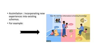 • Assimilation : incorporating new
experiences into existing
schemas.
• For example:
 