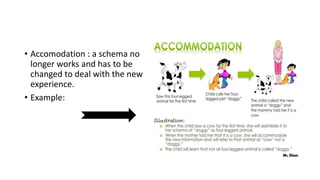 • Accomodation : a schema no
longer works and has to be
changed to deal with the new
experience.
• Example:
 