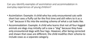 Can you identify examples of assimilation and accommodation in
everyday experiences of young children?
• Assimilation: Example: A child who has only encountered cats with
short hair sees a fluffy cat for the first time and still refers to it as a
"cat" because it fits into the existing schema of what a cat looks like.
• Accommodation: Example: A child who learns that not all four-legged
animals are dogs may initially call a cow a "dog" because they have
only encountered dogs with four legs. However, after being corrected
and shown that cows are different, the child modifies their schema to
include cows as a separate category.
 