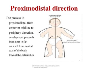 Comprehensive Overview of Physical Development Stages in Children ...