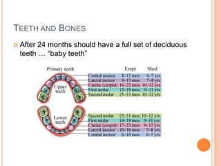 TEETH AND BONES 
 After 24 months should have a full set of deciduous 
teeth … “baby teeth” 
 