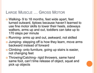 LARGE MUSCLE … GROSS MOTOR 
 Walking- 9 to 18 months, feet wide apart, feet 
turned outward, tiptoes because haven’t learned to 
use fine motor skills to lower their heels, sideways 
walkers, arms up and out, toddlers can take up to 
170 steps per minute 
 Running- arms up and out, awkward, not skilled 
 Jumping- stepping off is how they learn, move arms 
backward instead of forward 
 Climbing- onto furniture, going up stairs is easier, 
not changing feet 
 Throwing/Catching- rigid throwers, same hand 
same foot, can’t time release of object, squat and 
pick up objects 
 