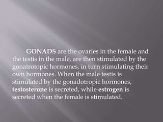 GONADS are the ovaries in the female and
the testis in the male, are then stimulated by the
gonatrotopic hormones, in turn stimulating their
own hormones. When the male testis is
stimulated by the gonadotropic hormones,
testosterone is secreted, while estrogen is
secreted when the female is stimulated.
 
