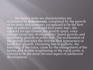 Secondary male sex characteristics are
stimulated by testosterone, comprised by the growth
of the testis and scrotum ( recognized to be the first
sign of puberty), penis and first pubic hair ; the
capacity for ejaculation, the growth spurt, voice
change, facial hair development/ beard growth, and
continuing growth of pubic hair. The acceleration of
the growth precedes the first the first appearance of
facial hair growth. Occurring late in puberty, the
lowering of the voice, cause by the enlargement of the
larynx and double lengthening of the vocal cords, is
viewed to be the most obvious aspect of adolescent
development.
 