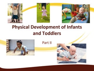 Physical Development of Infants
and Toddlers
Part II
 