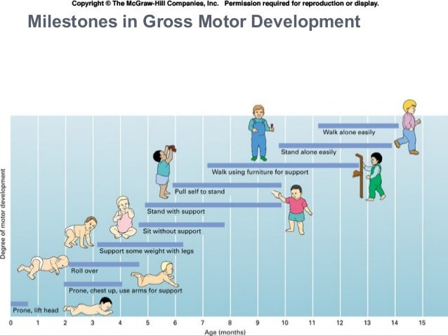 physical development of infants and toddlers part 2 infant gross motor skills development chart
