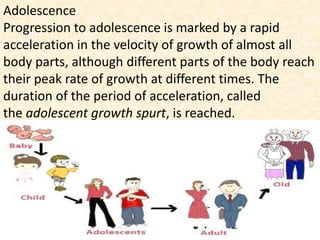 Adolescent Example Physical Development | PPTX