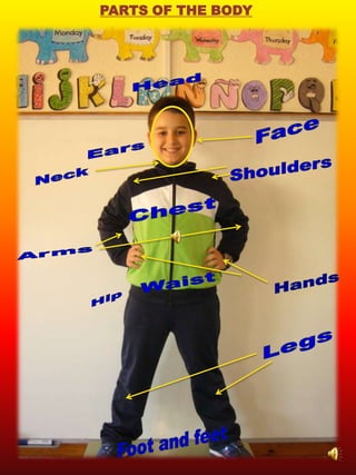 PARTS OF THE BODY