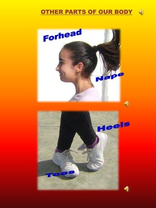 OTHER PARTS OF OUR BODY