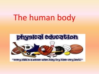 The human body
 