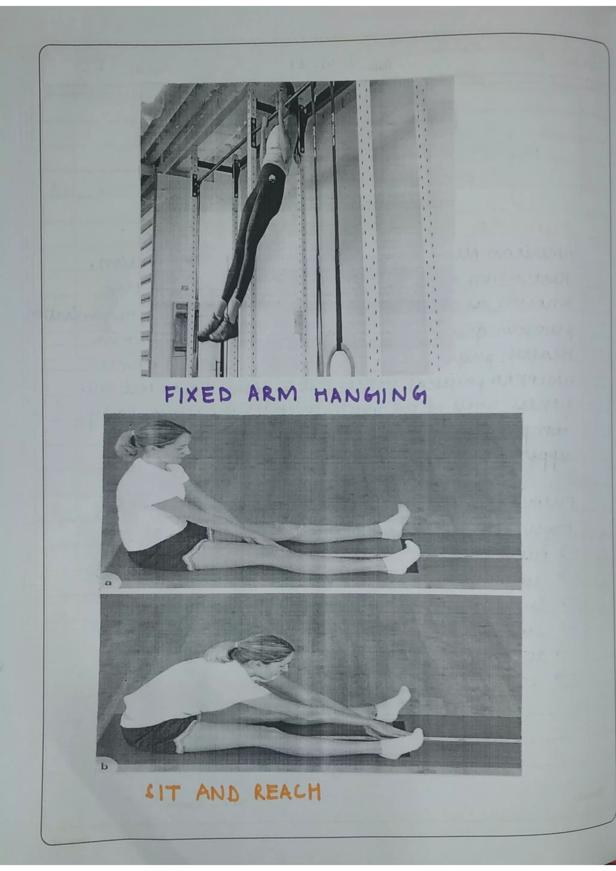 PHYSICAL EDUCATION PRACTICAL FILE ( Class 12th)