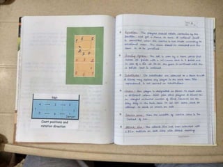 Physical Education Project | Class 12 | Practical