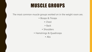 MUSCLE GROUPS
The most common muscle groups worked on in the weight room are.
• Biceps & Triceps
• Chest
• Back
• Shoulder...