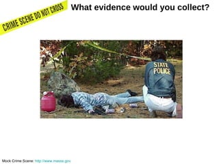 Mock Crime Scene:  http://www.masss.gov What evidence would you collect?  