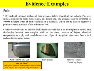 Evidence Examples Did you know?  Most paint evidence submitted to a lab will come from hit-and-run cases involving automobiles.   Paint Physical and chemical analysis of paint evidence (chips or residue) can indicate it’s class, such as automobile paint, house paint, nail polish, etc. The evidence  can be compared to 40,000 different types of paint classified in a database, which can be used to identify a particular make or model of car or brand of tool. Paint evidence can also indicate individual characteristics if an investigator is able to find similarities between two samples, such as the color, number of layers, chemical composition, or a physical match between the edges of two paint chips – one from a tool and one from a crime scene.  Paint Layers Physical Match of  Paint Chip Edges Paint Transfer on a Car 